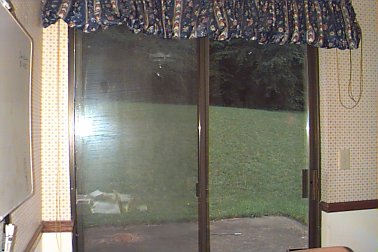 The Backdoor