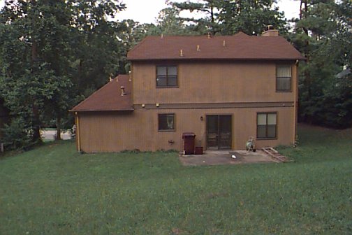 Greenwood's Backyard